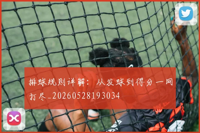 排球规则详解:从发球到得分一网打尽_20260528193034