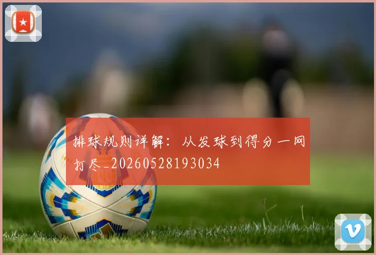 排球规则详解:从发球到得分一网打尽_20260528193034