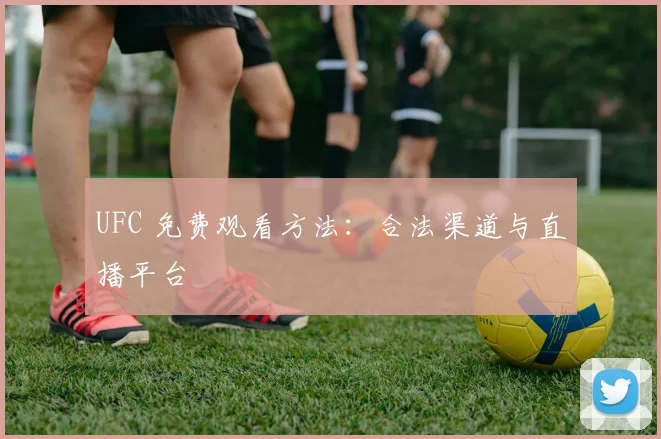 UFC 免费观看方法:合法渠道与直播平台