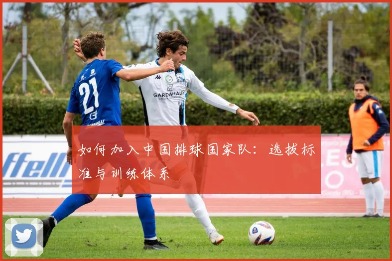 如何加入中国排球国家队：选拔标准与训练体系