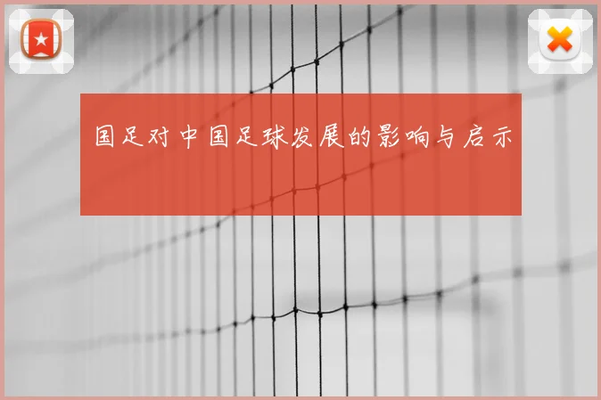国足对中国足球发展的影响与启示